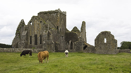 abbey ireland